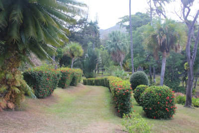 Flowering shrubs and landscaping at the gardens.