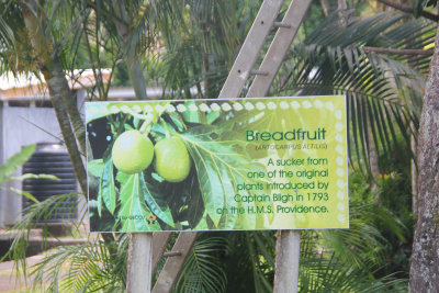 Sign describing the introduction of breadfruit to St. Vincent in 1793 by Captain Bligh.