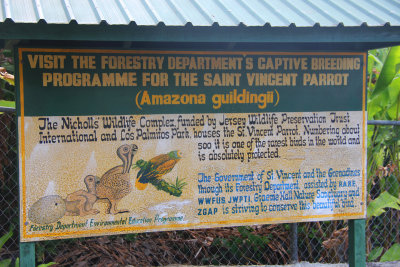 Sign describing the breeding program at the gardens for the St. Vincent parrot.