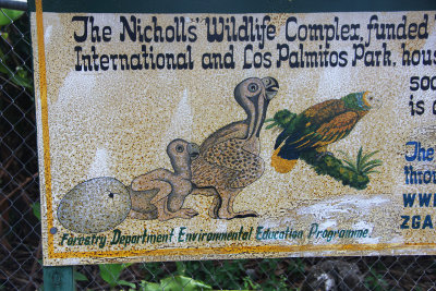 Close-up of the sign illustrating the development of a parrot.