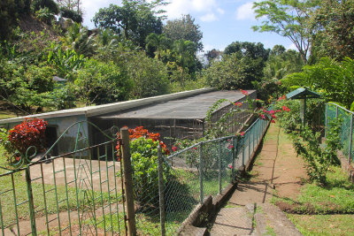 Cages where some of the parrots are kept at the botanical gardens.