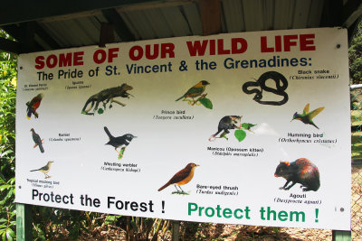 Sign showing some of St. Vincent's wildlife.
