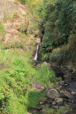 Constantine Falls is a smaller one of the many waterfalls in Grenada.