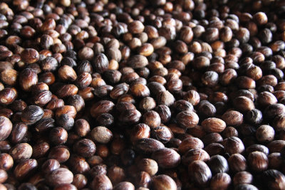 Close-up of the nutmeg beans.
