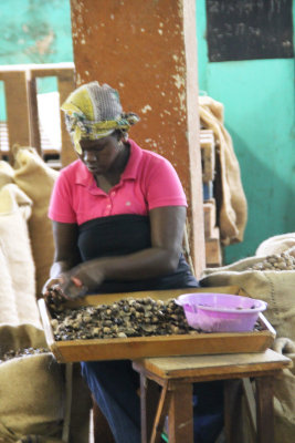 Another worker hard at work.