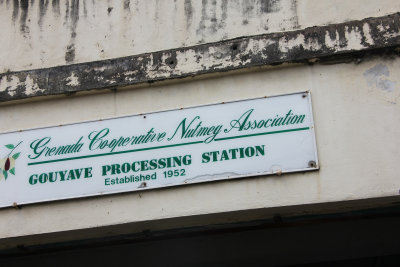 My next stop was to a nutmeg processing plant in Grenada.