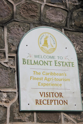 My next stop was at the Belmont Estate. This restored estate produces organic cocoa and chocolate, and it operates a goat dairy.