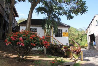 More buildings with tropical plants decorating the estate.