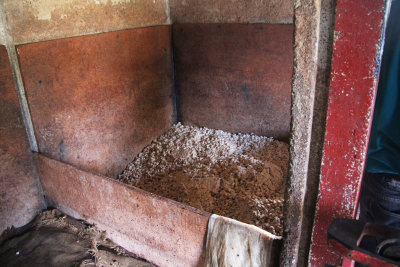Cocoa during the fermenting process.