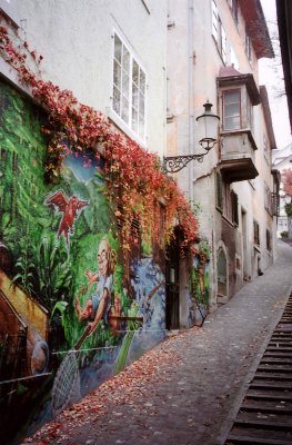 A colorful mural with ivy.  You can tell it was fall since the leaves were falling.