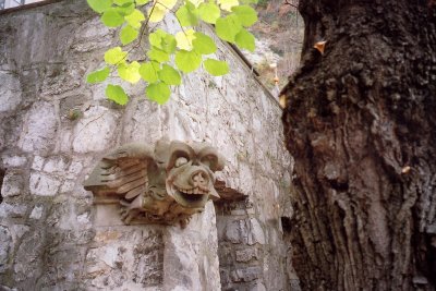 Gargoylesque-looking carving on a wall in Vaduz.