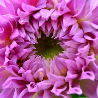 DSC_2908.jpg