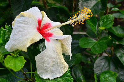 DSC_2963.jpg