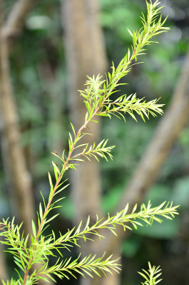 DSC_2976.jpg