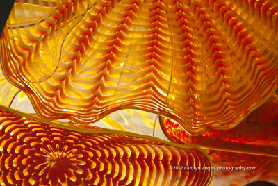 Chihuly-4