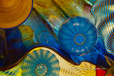 Chihuly-7