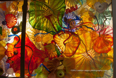 Chihuly-8