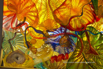 Chihuly-6