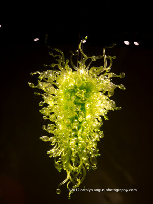 Chihuly House of Glass Interiors-7-2.jpg