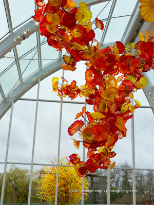 Chihuly House of Glass Interiors-10-2.jpg