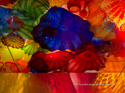 Chihuly House of Glass Interiors-4-2.jpg