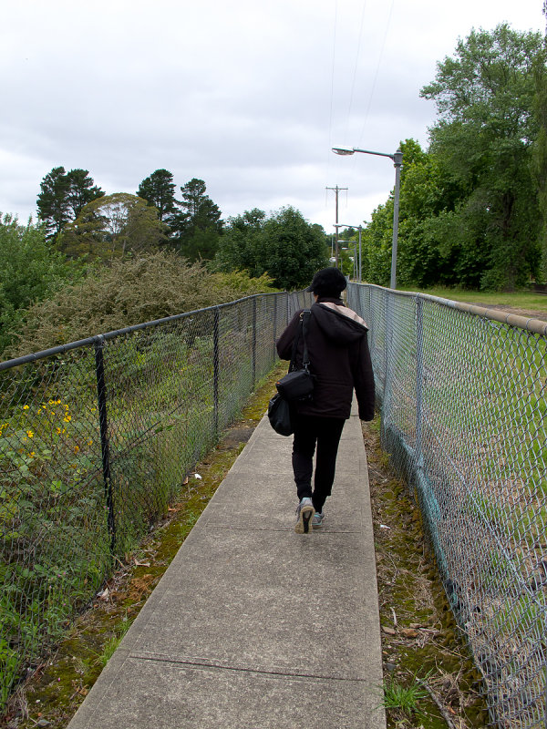 sb206w.jpg