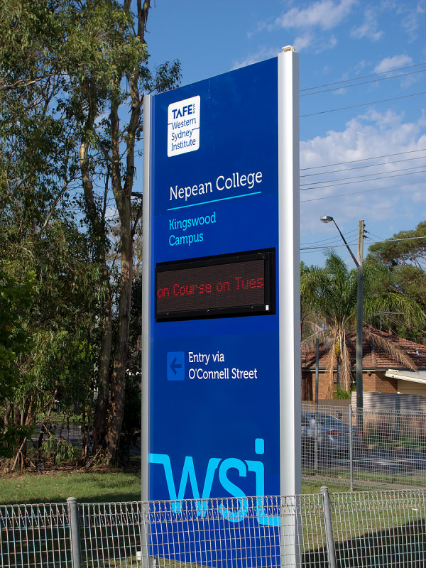 SB816w.jpg