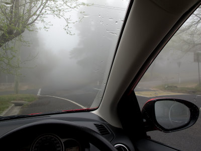 blackheath mist w.jpg