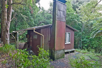 Kiwi_13_2012.jpg