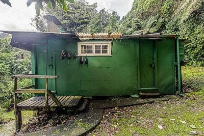 Mahoe_76_2012.jpg