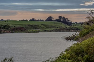 311A4734_5_6_7_8.jpg