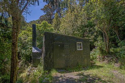Nikau_2_2012B.jpg