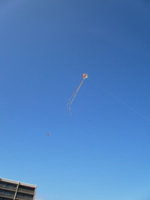 PC220628.JPG