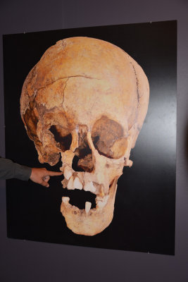 Skull at Canada de la Virgen.jpg