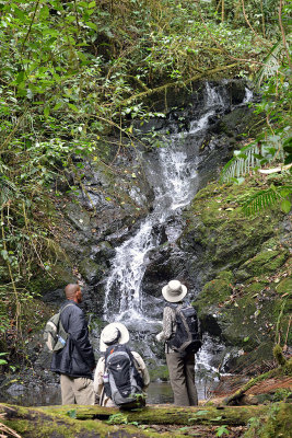Waterfall on Sendero Jilguero.jpg