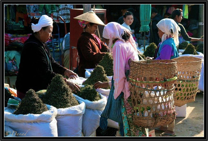 Lahu Choosing Tea on Kengtung Market.