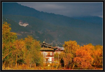 Bhumtang : End of afternoon on Jakar Dzong.
