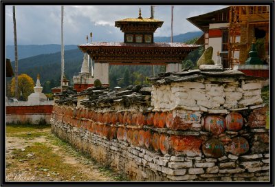 On the Way to Kurje Monastery (Bhumtang District).
