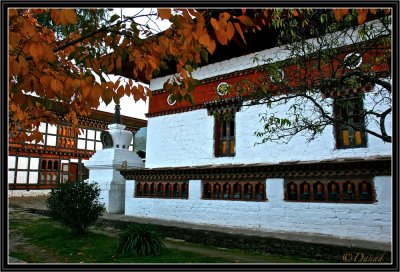 Kyichu Monastery. (Paro Valley).
