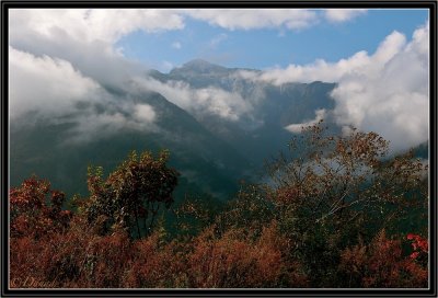 Black Mountain (5000 m.) near Trongsa.