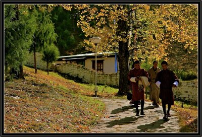 An Autumn Walk in Paro Dzong Garden.