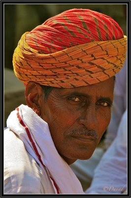 Portrait of a Villager.