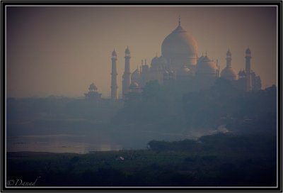 Taj Mahal in Winter Mist.