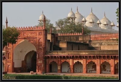 Inside the Red Fort - Agra.