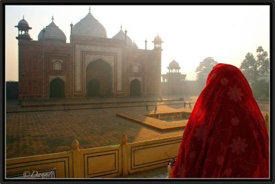 Early Morning. Jawab Mosque - Agra.