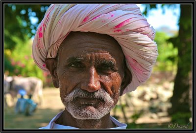 Portrait of a Shepherd. Ranakpur.