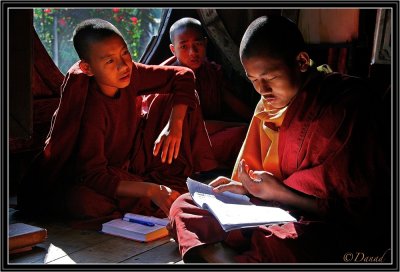 Novices Studying. Kyaung Shwe Yaunghwe. Nyaungshwe.