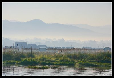 A Misty Morning By the Lakeside.