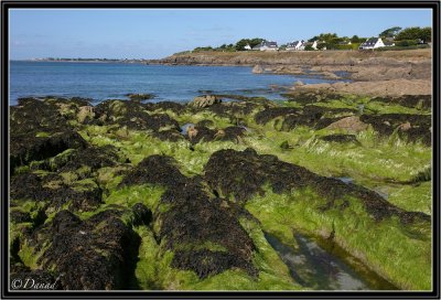 Sud-Finistère. Raguenez.