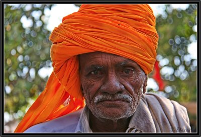 Portrait of a Farmer - Pushkar.
